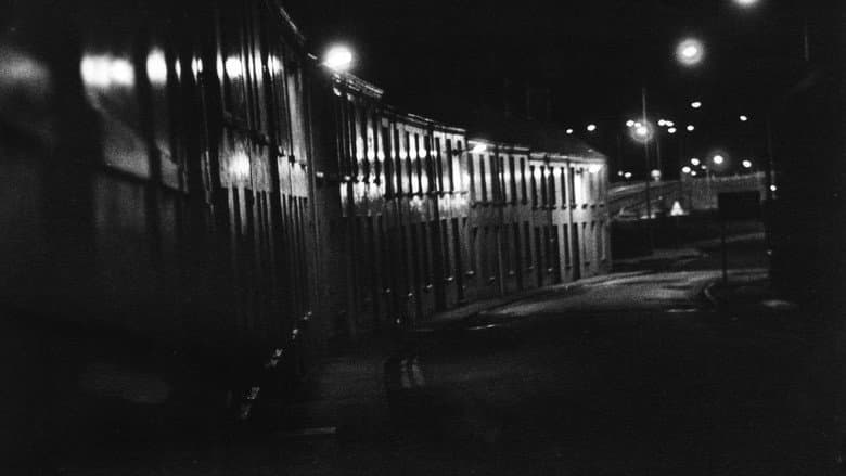 Backdrop from Story of Night