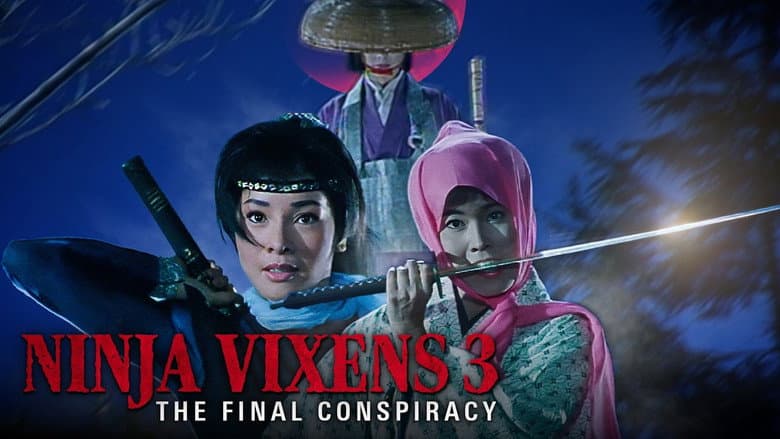 Backdrop from The Ninja Vixens III: The Final Conspiracy