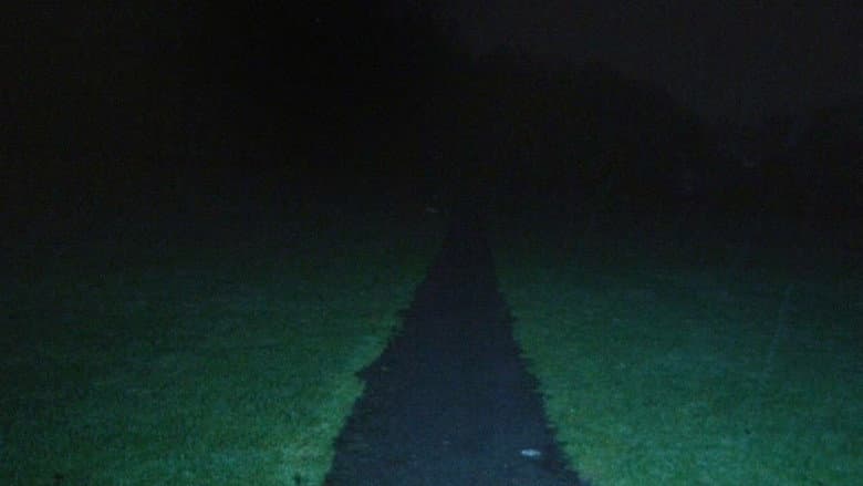 Backdrop from LEASH