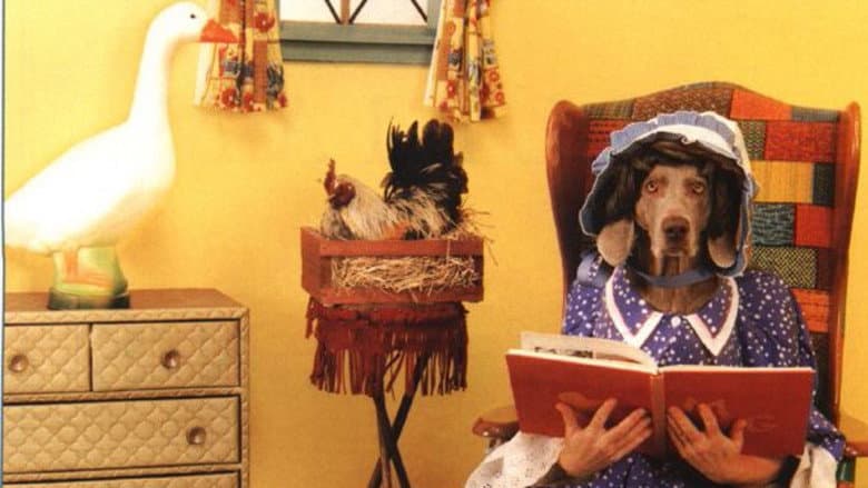 Backdrop from William Wegman's Mother Goose