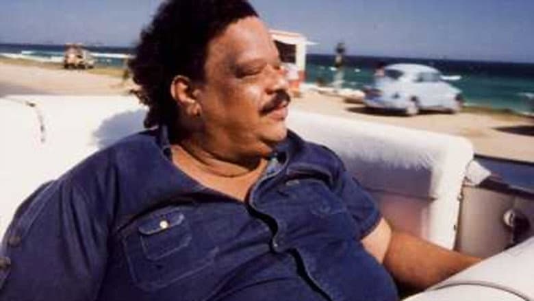 Backdrop from Tim Maia