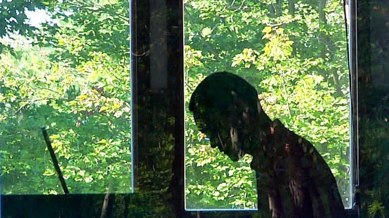 Backdrop from A Will for the Woods