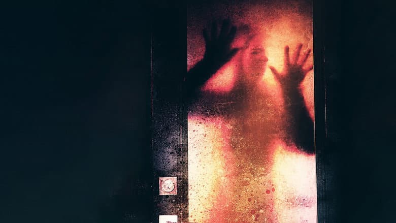 Backdrop from Tiny House of Terror