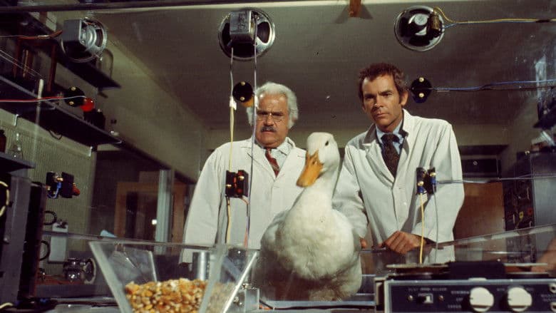 Backdrop from The Million Dollar Duck