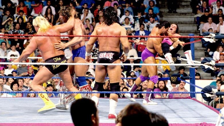 Backdrop from WWE Royal Rumble 1991