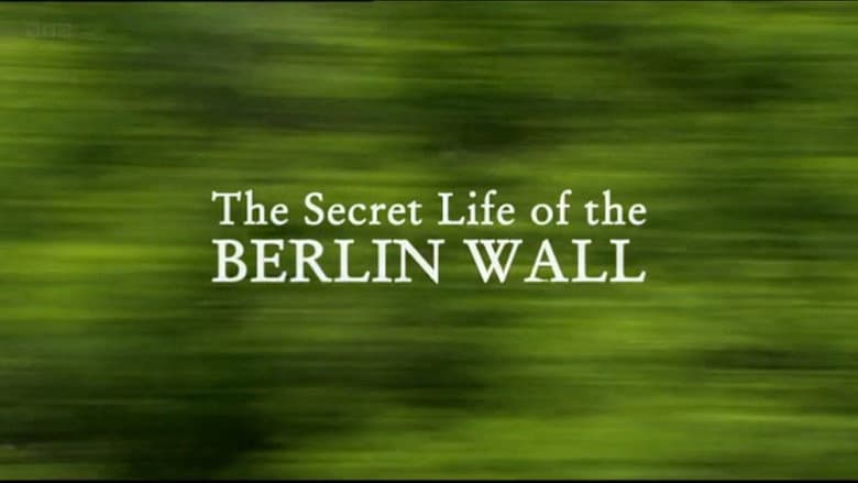 Backdrop from The Secret Life of the Berlin Wall