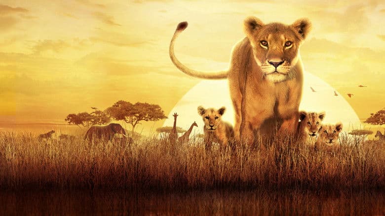 Backdrop from Serengeti