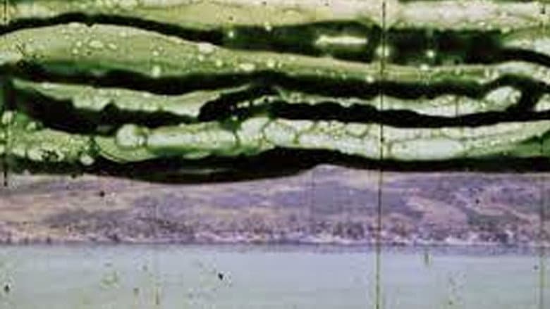 Backdrop from Fragment of a Patagonia landscape