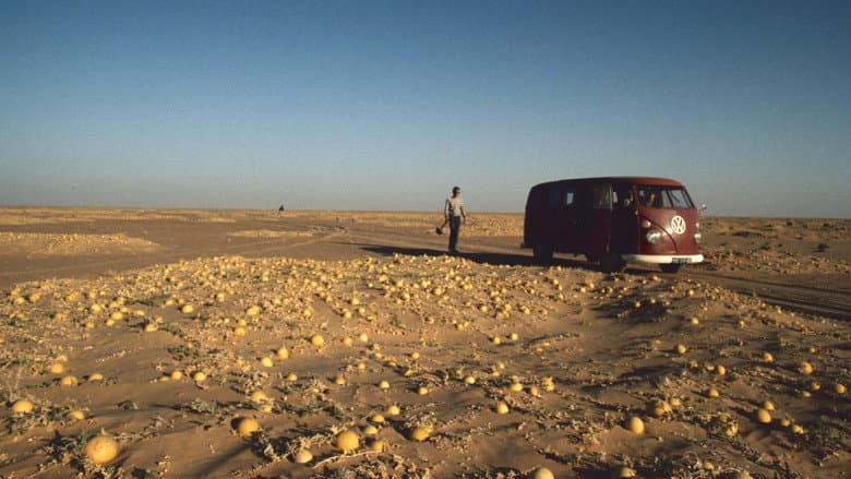 Кадр із фільму «Hitchhiking to the Edge of Sanity»