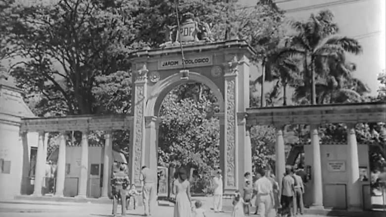 Backdrop from Jardim Zoológico do Rio de Janeiro