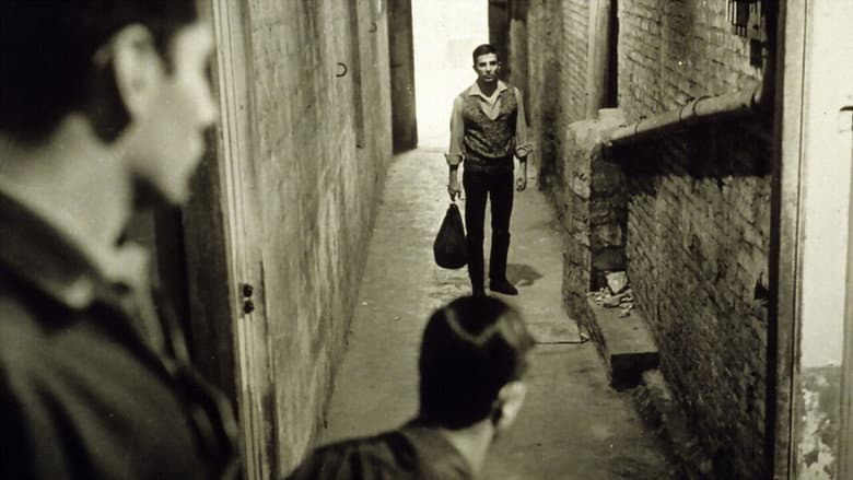 Backdrop from Young Sánchez