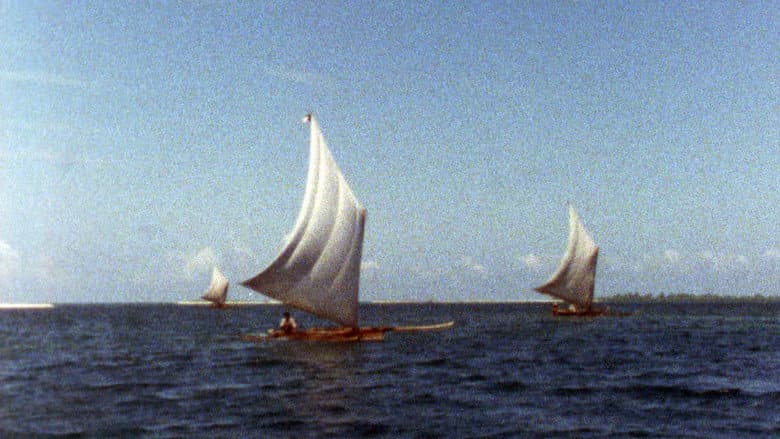 Backdrop from The Pirates of Buban