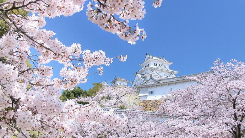 Backdrop from Peace Nippon