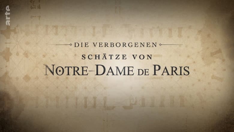 Backdrop from Enquête sur les trésors enfouis de Notre-Dame de Paris