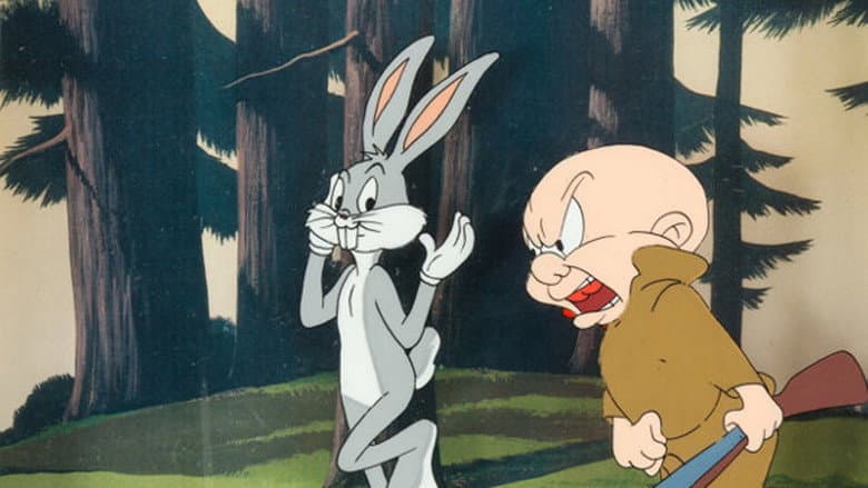 Backdrop from Rabbit Fire