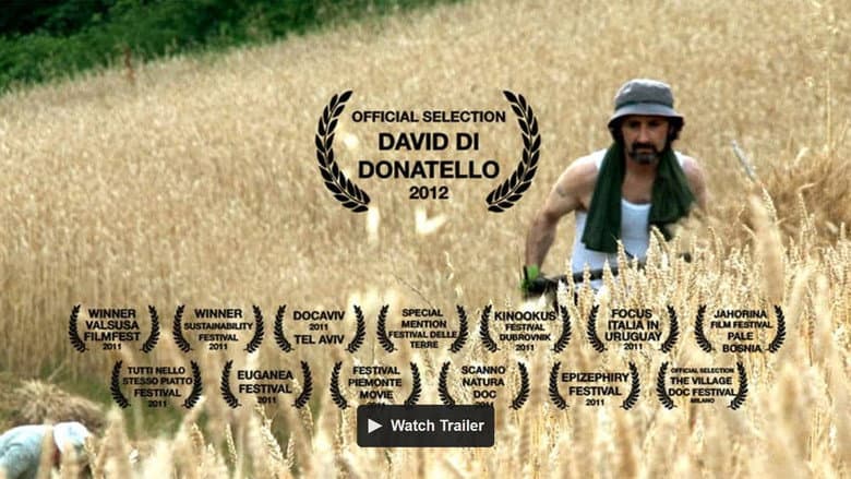 Backdrop from Langhe Doc
