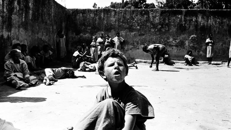 Backdrop from Brazilian Holocaust