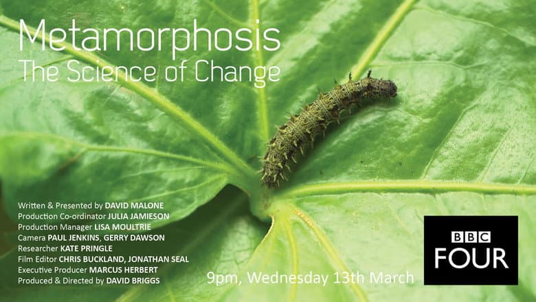 Backdrop from Metamorphosis: The Science of Change