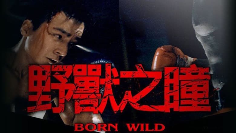 Backdrop from Born Wild
