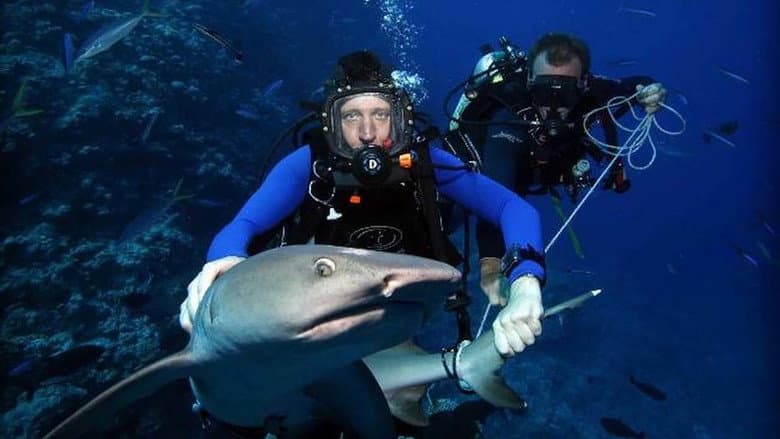 Backdrop from Shark Tracker