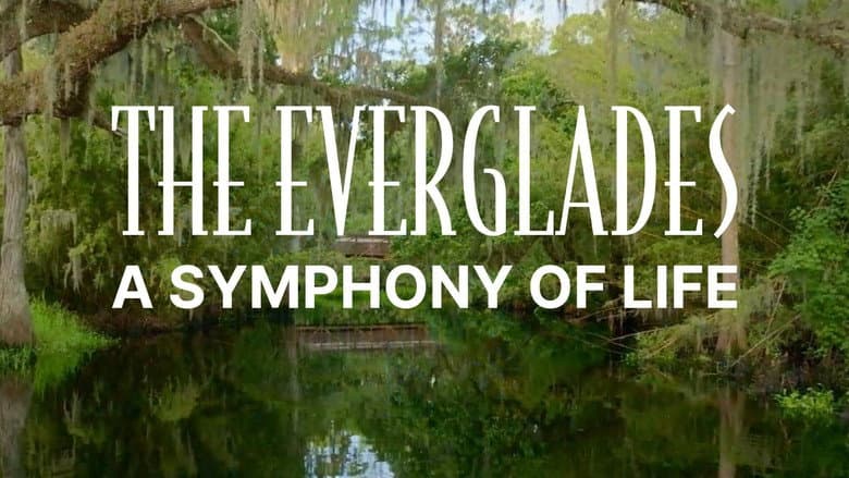 Backdrop from The Everglades: A Symphony of Life