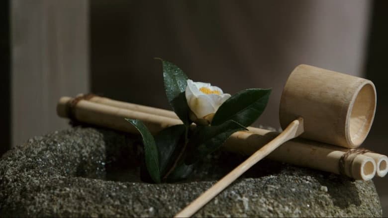 Backdrop from Ask This of Rikyu