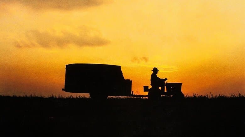 Кадр із фільму «Проста історія (фільм, 1999)»