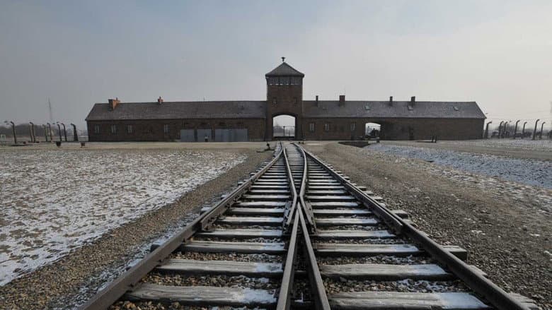 Backdrop from Born in Auschwitz