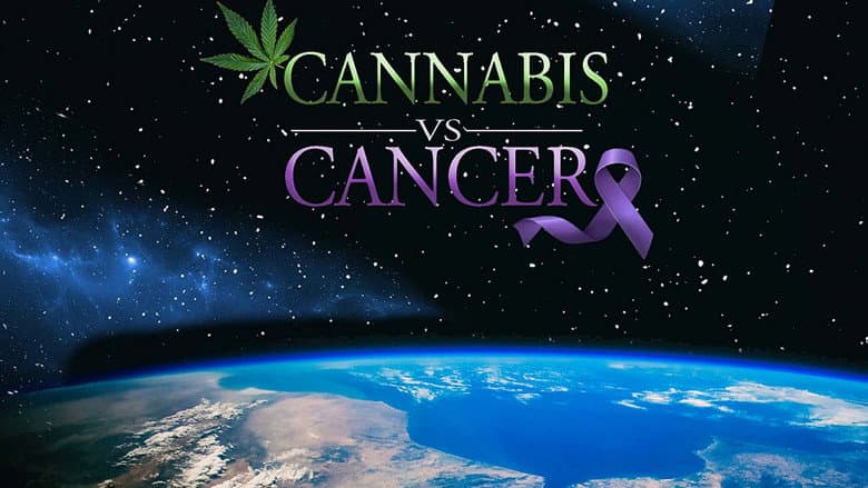 Кадр із фільму «Cannabis vs. Cancer»