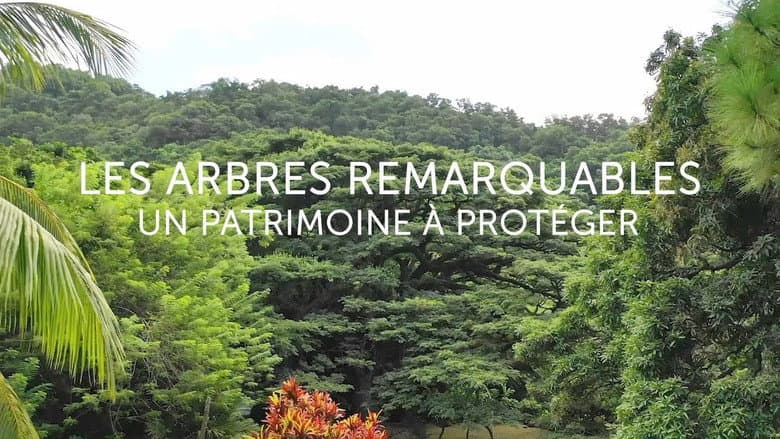 Backdrop from Les arbres remarquables, un patrimoine à protéger