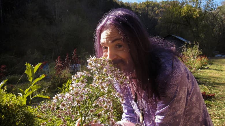 Backdrop from Queer Gardening