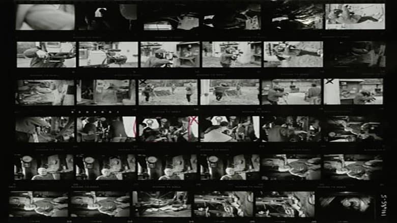 Backdrop from Fire in the East: A Portrait of Robert Frank