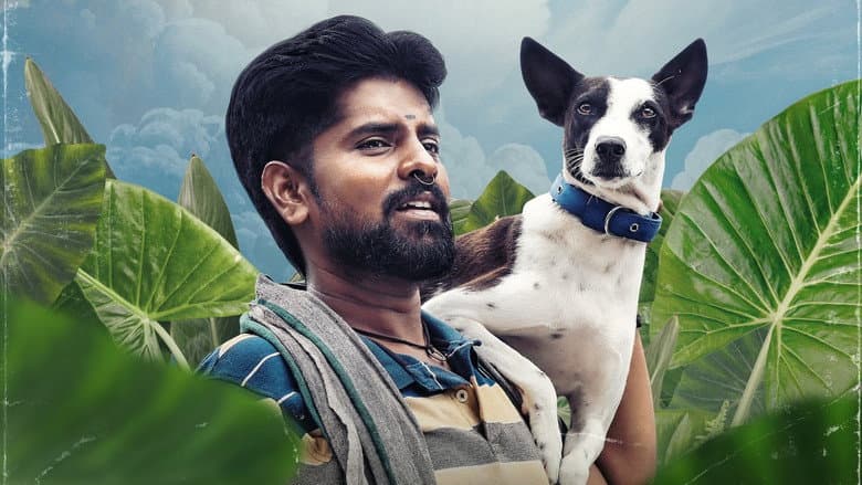Backdrop from Alangu