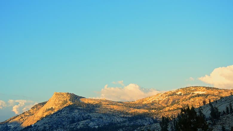 Backdrop from A Breath Of Summer