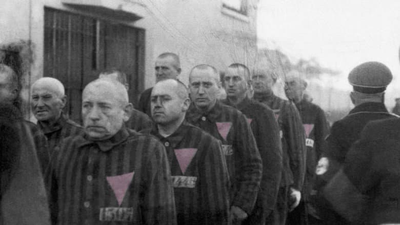 Кадр із фільму «The Pink Triangle and the Nazi Cure for Homosexuality»
