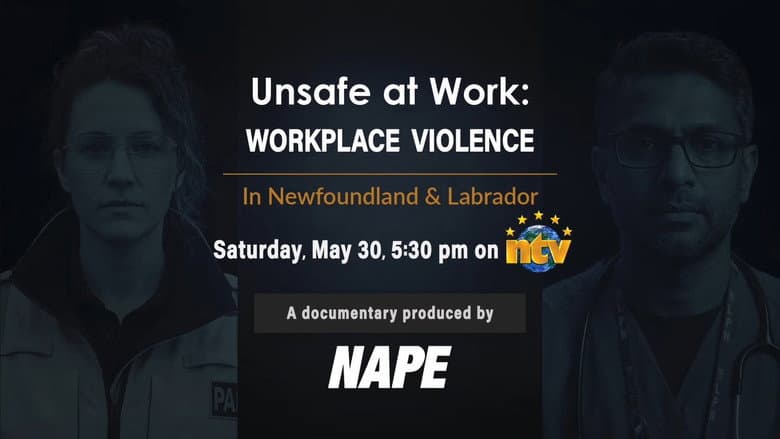 Backdrop from Unsafe at Work: Workplace Violence in NL