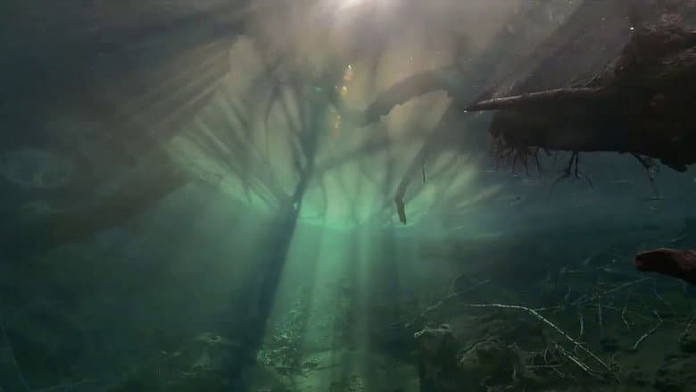 Backdrop from Un fleuve invisible