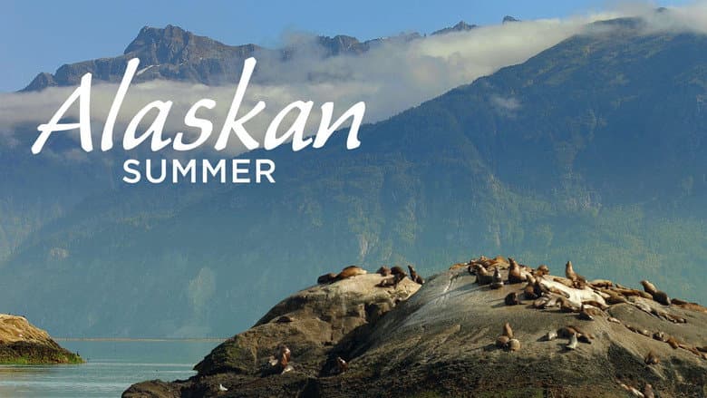 Backdrop from Alaskan Summer