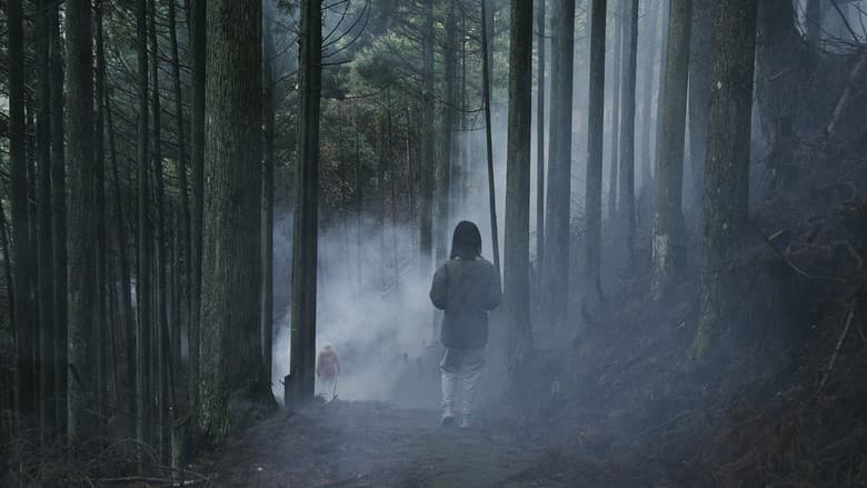 Backdrop from Beyond the Fog
