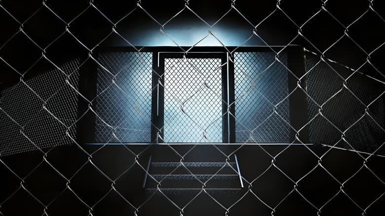 Backdrop from The Cage