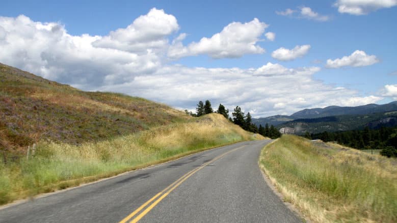 Backdrop from American Bear: An Adventure in the Kindness of Strangers