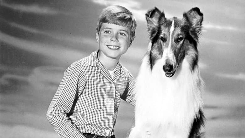 Backdrop from Lassie