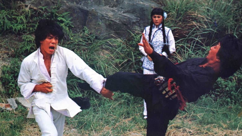 Backdrop from Shaolin Iron Claws