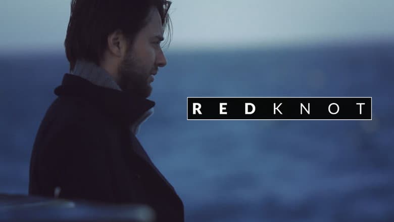 Backdrop from Red Knot