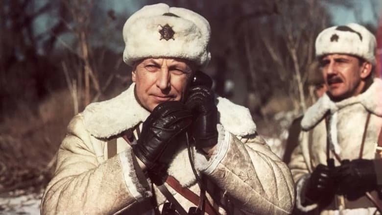Кадр із фільму «Соколово»