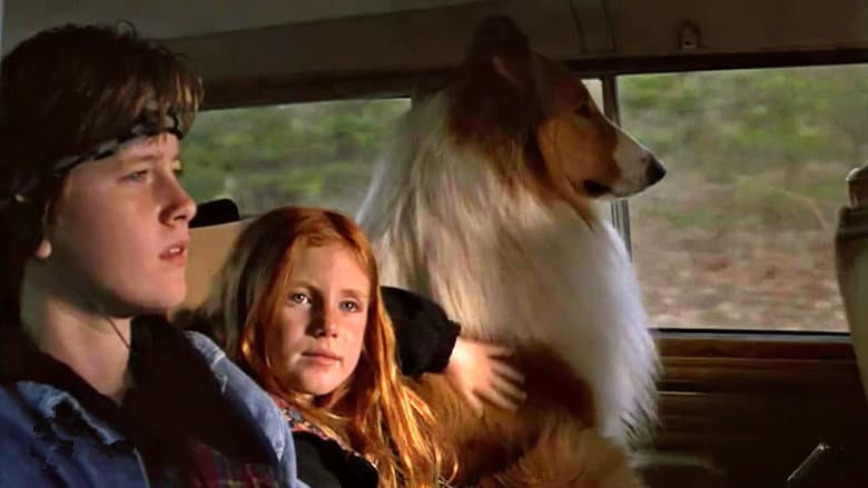 Backdrop from Lassie