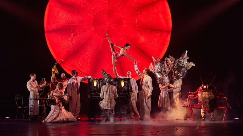 Backdrop from Cirque du Soleil: Luzia