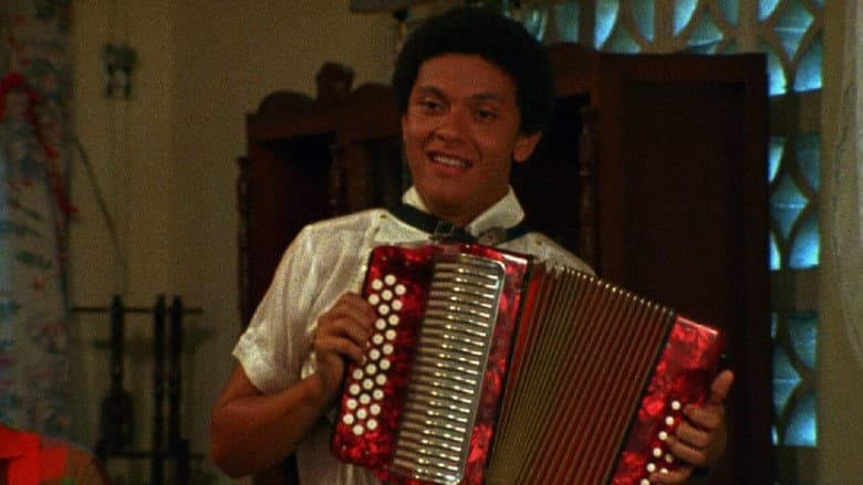 Backdrop from The Accordionist's Wedding