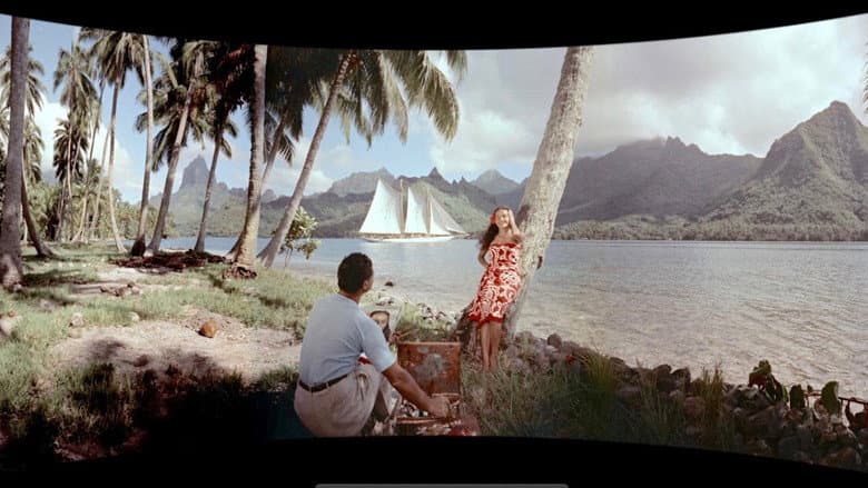 Backdrop from South Seas Adventure