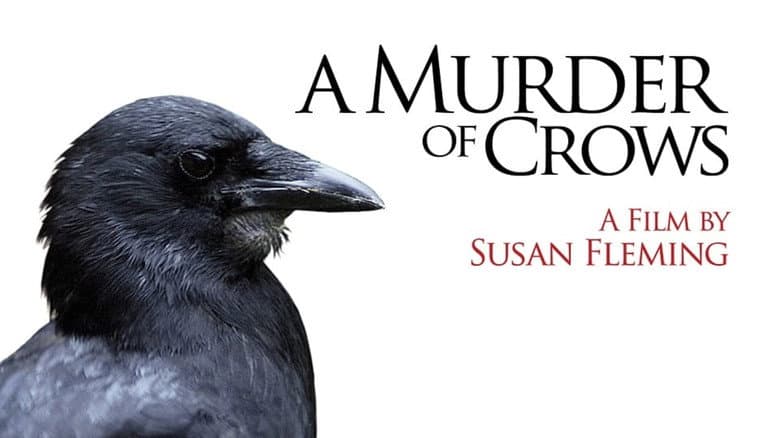 Backdrop from A Murder of Crows